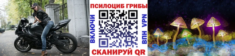 mega вход  наркота  Бологое  Псилоцибиновые грибы GOLDEN TEACHER 